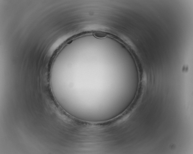 X0000113280877200909140938