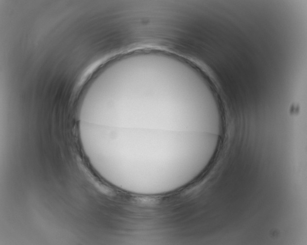 X0000113280878200909140938
