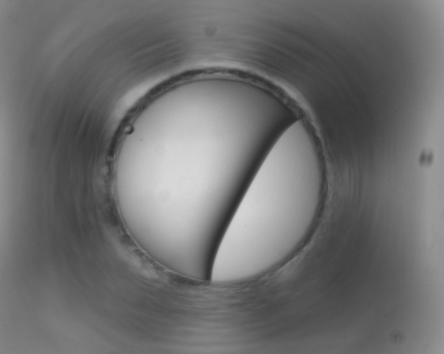 X0000113280879200909140938