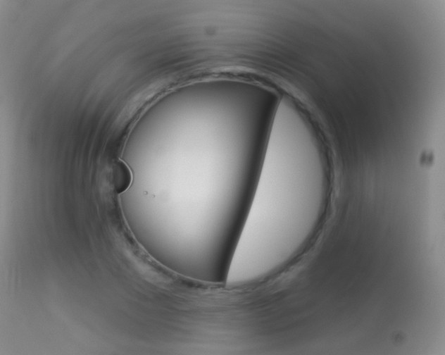 X0000113280881200909140938