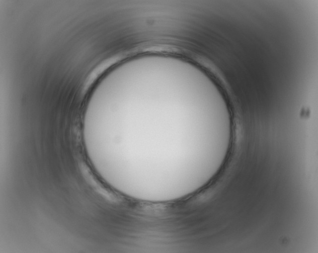X0000113280882200909140938