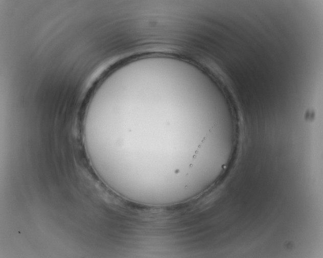 X0000113280883200909140938
