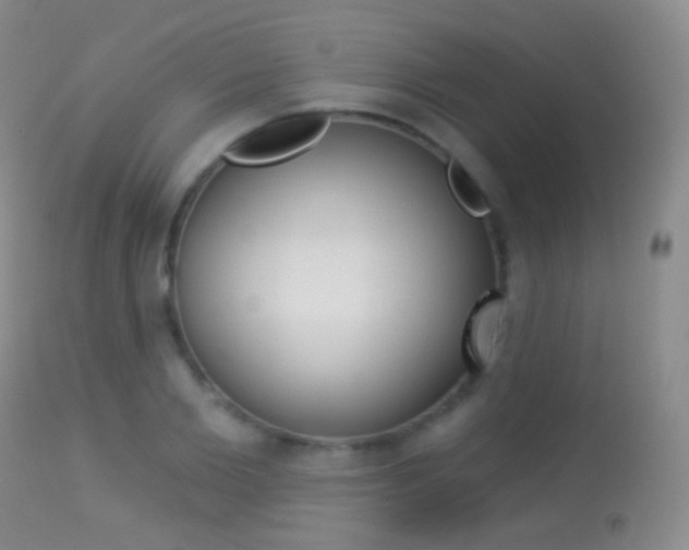 X0000113280885200909140938
