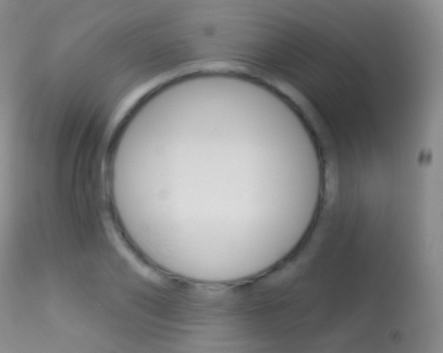 X0000113280886200909140938