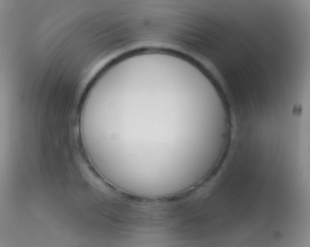 X0000113280887200909140938