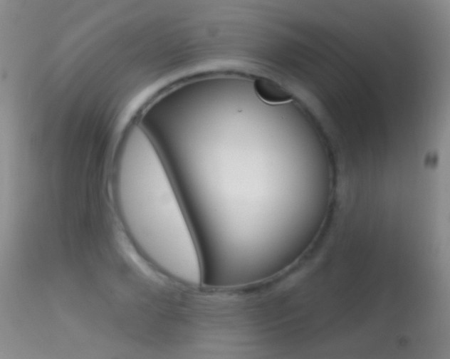 X0000113280888200909140938