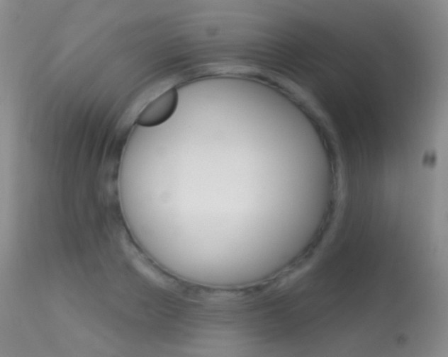 X0000113280889200909140938