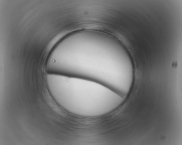 X0000113280891200909140938