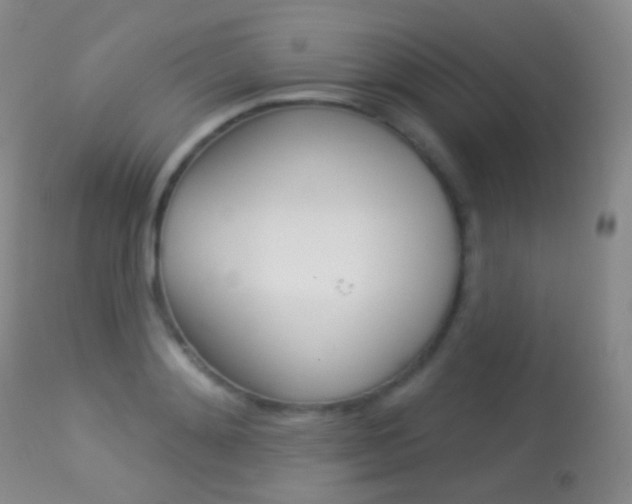X0000113280892200909140938