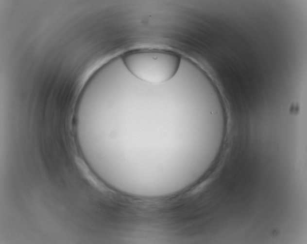 X0000113280893200909140938