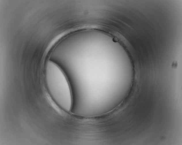 X0000113280894200909140938