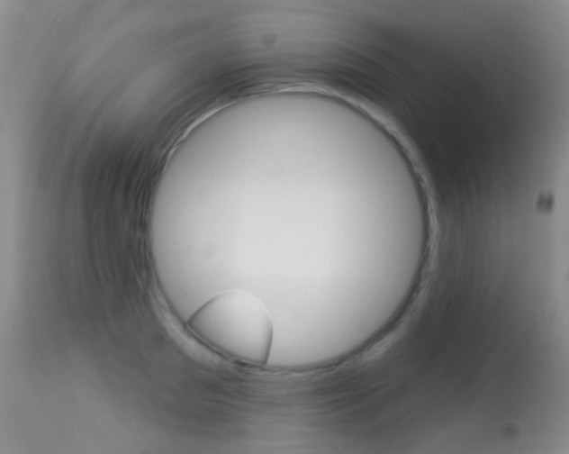 X0000113280897200909140938