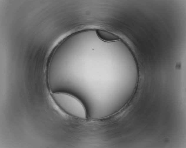 X0000113280902200909140938