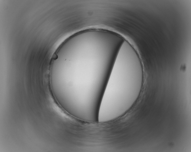 X0000113280903200909140938