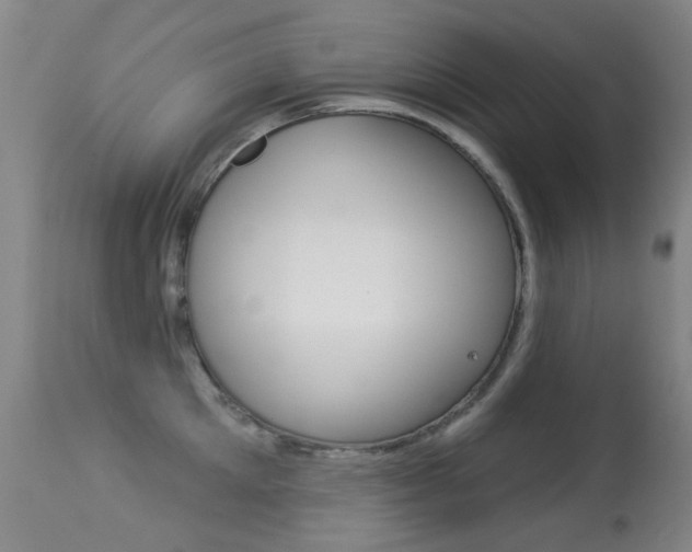 X0000113280905200909140938