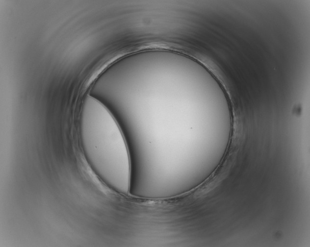 X0000113280906200909140938