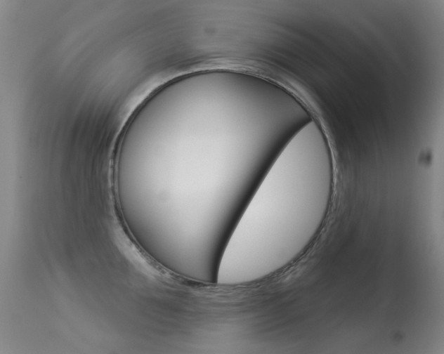 X0000113280907200909140938