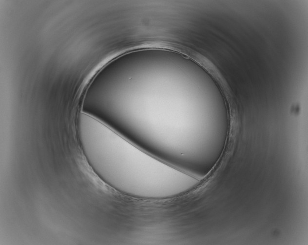 X0000113280908200909140938