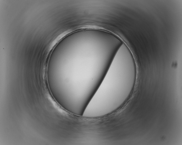 X0000113280909200909140938