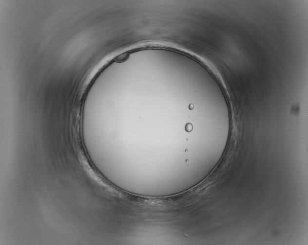 X0000113280911200909140938