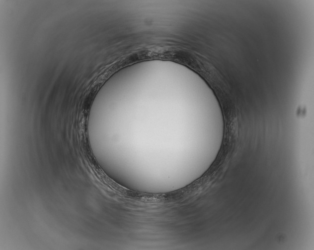 X0000113280914200909140937