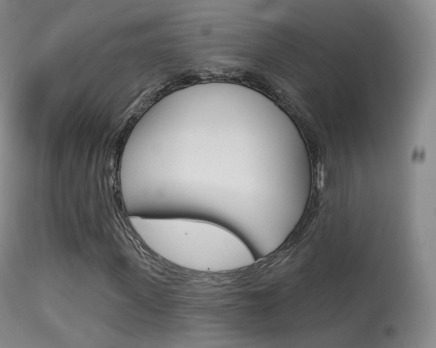 X0000113280915200909140937