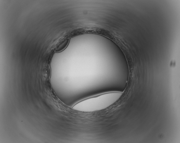 X0000113280916200909140937