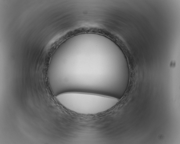 X0000113280919200909140937