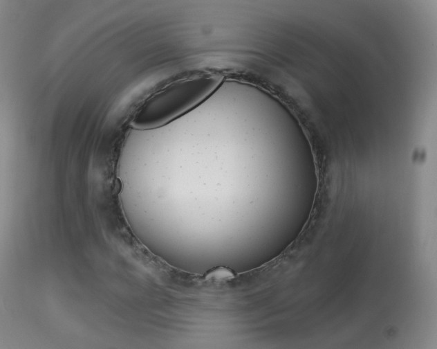 X0000113280920200909140937