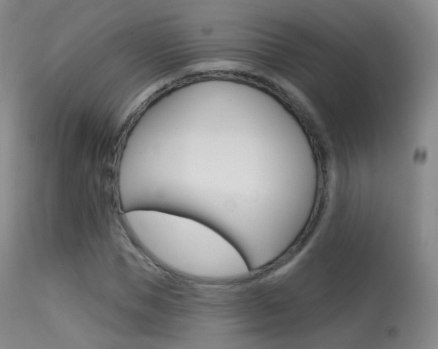 X0000113280921200909140937