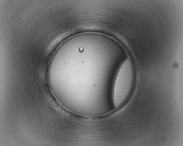 X0000113280922200909140937