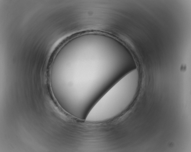 X0000113280924200909140937