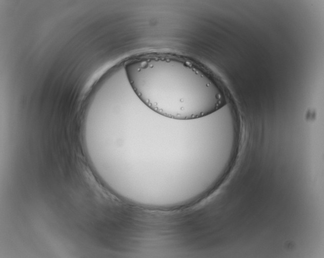 X0000113280925200909140937