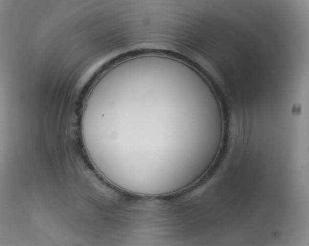 X0000113280926200909140937