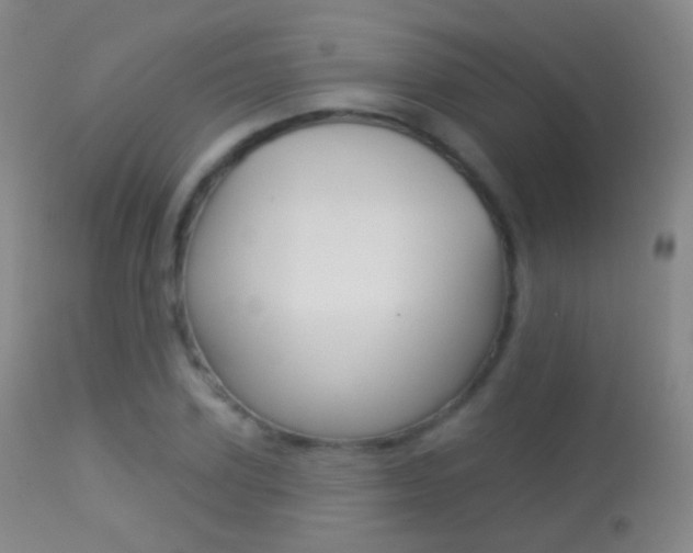 X0000113280931200909140937