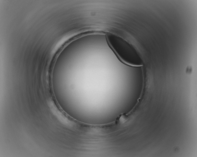 X0000113280932200909140937