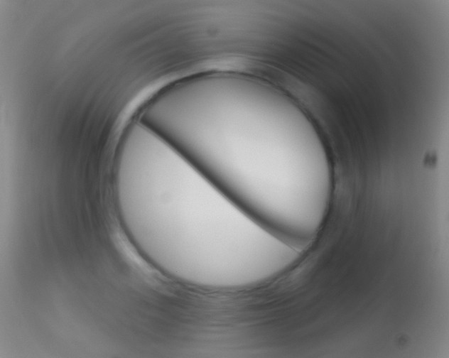 X0000113280939200909140937