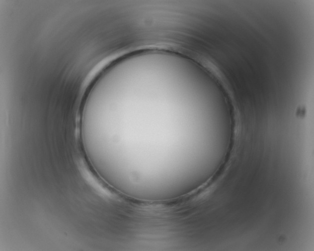 X0000113280940200909140937