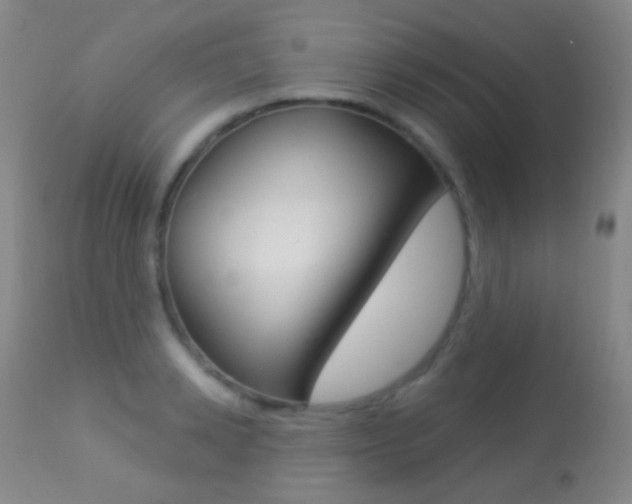 X0000113280942200909140937
