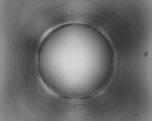 X0000113280944200909140937