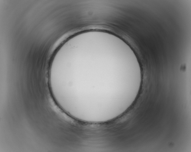 X0000113280950200909140937