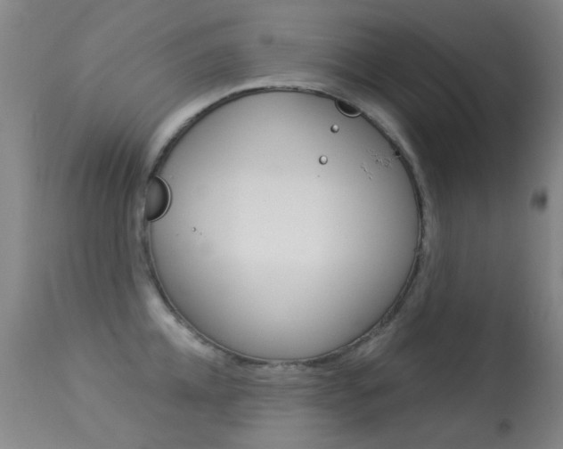X0000113280952200909140938