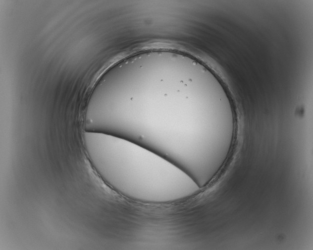 X0000113280953200909140938