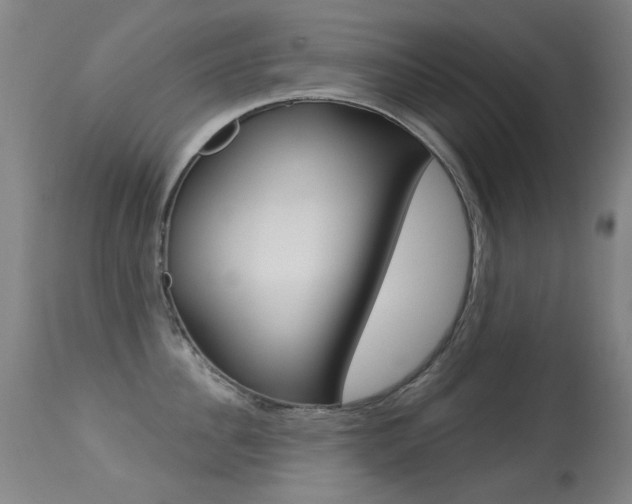 X0000113280956200909140938