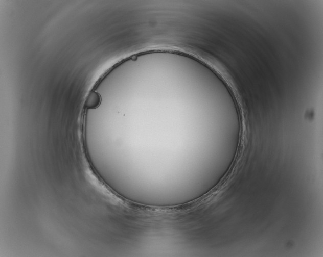 X0000113280958200909140938