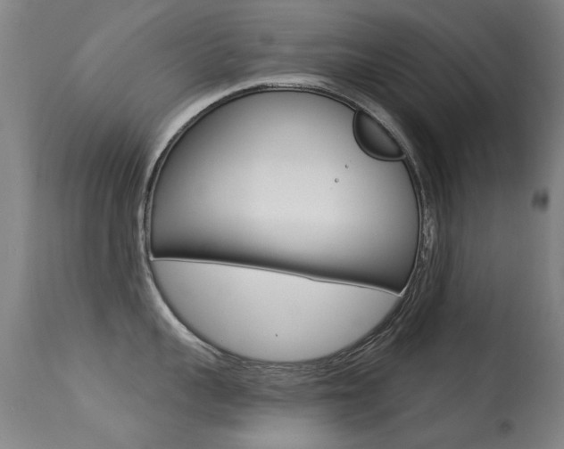 X0000113280959200909140938