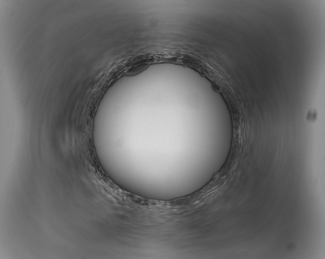X0000113280961200909140937