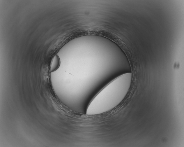X0000113280963200909140937