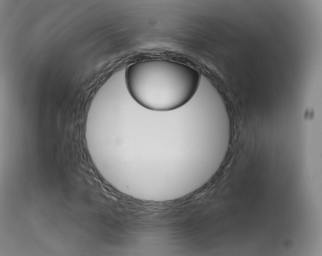 X0000113280965200909140937