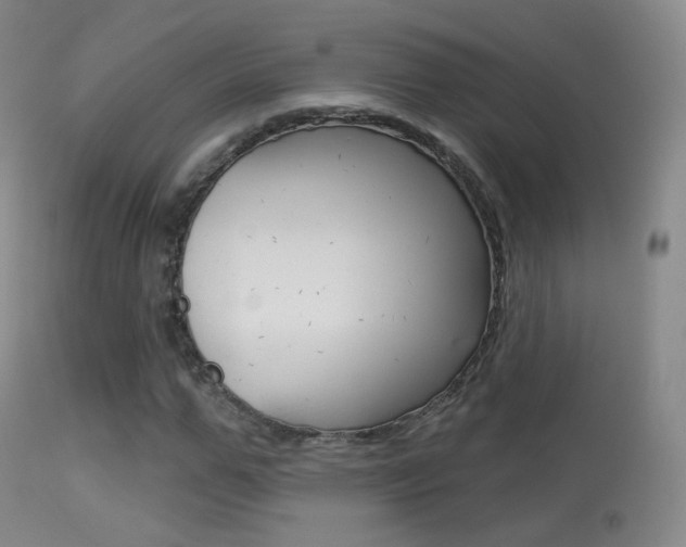 X0000113280967200909140937